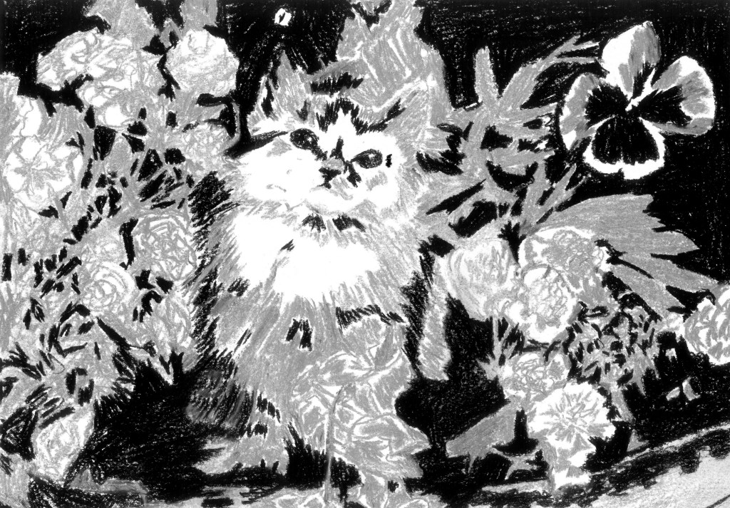 Estudo de síntese tonal com pastel&nbsp;seco